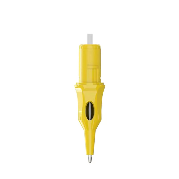 PRACTICAL ACTIVITY (TRAINING) – PEN-TYPE CARTRIDGE
