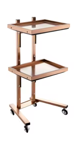 Professional metal trolley / cart with 2 shelves – on wheels – 49 × 89 cm (for salon, clinic, PMU, tattoo)
