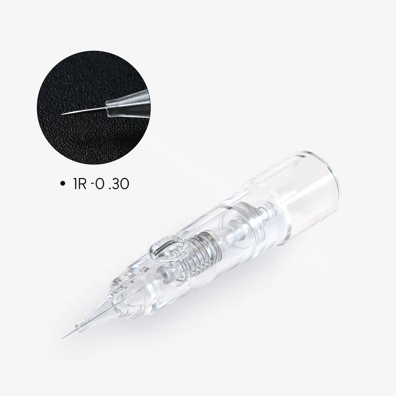 MICROPIGMENTATION NEEDLE, BIOMASER