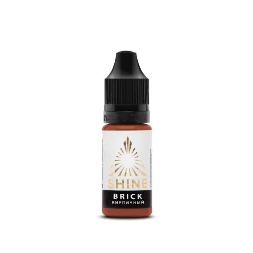 PIGMENT SHINE BRICK CORRECTOR