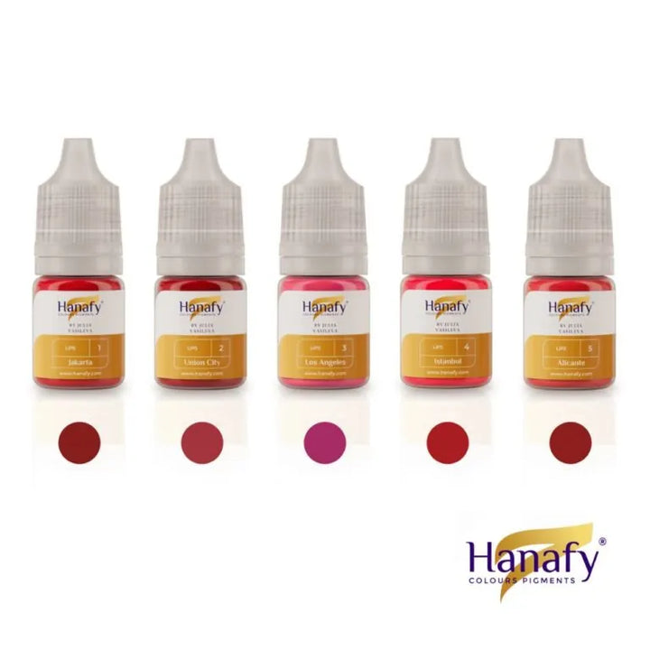 SET PIGMENTI BUZE HANAFY